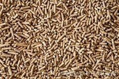 Pine wood pellets