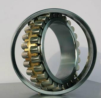 ZWZ Bearing 3