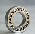 ZWZ Bearing