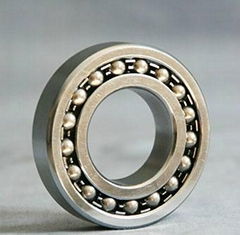 ZWZ Bearing