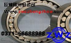 ZWZ Bearing