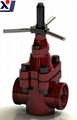  API 16C mud gate valve(Z23X103-35) 5