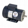 Century Washdown Motor E1023 1