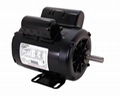 Century Washdown Motor D208