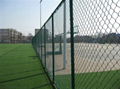 Chain link fence 1