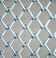 Chain link fence 3