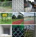 Chain link fence 4