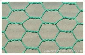 Hexagonal wire mesh series