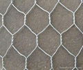 Hexagonal wire mesh series 2