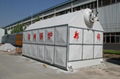 DZL Packaged Boiler 1