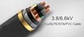 3.8/6.6kV XLPE Cable