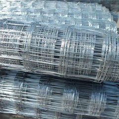 Hot-dipped Galvanized Welded Mesh|Roof Mesh