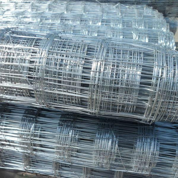 Hot-dipped Galvanized Welded Mesh|Roof Mesh