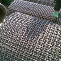 Galvanized Crimped Wire Mesh|Woven Wire Mesh 3