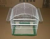 bird cage 2