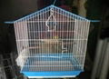 bird cage 5