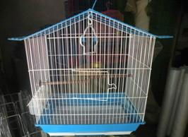 bird cage 5