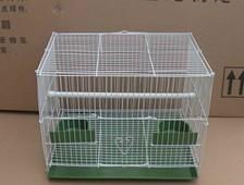 bird cage 4