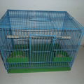 bird cage 1