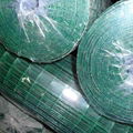 PVC Coated Welded Wire Mesh 4