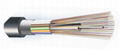 层绞式光缆 GYTA 2-43