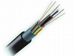  層絞式光纜 GYTS 2-432芯