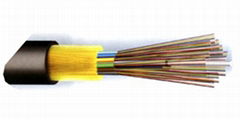 層絞式非金屬光纜 GYFTY 2-288芯