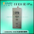 Explosion-Proof Control Cabinet/Box IP56 1