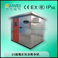 Customized Explosion Analysis hut IP 1