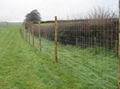 Field Fence - High Tensile Wire &amp; Low Carbon Steel