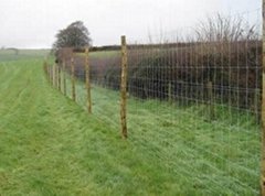 Field Fence - High Tensile Wire &amp; Low Carbon Steel