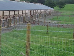 High Tensile Field Fence – Strong yet Light Weight