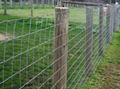 Low Carbon Field Fence - Galvanized &amp