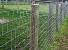 Low Carbon Field Fence - Galvanized &amp; PVC Coated