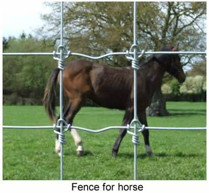 Horse Fencing - Non Climb &amp; Diamond Mesh