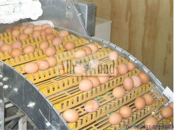 Commercial layer cage & layer chicken cages 4