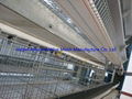 Poultry equipment layer egg chicken cages 4