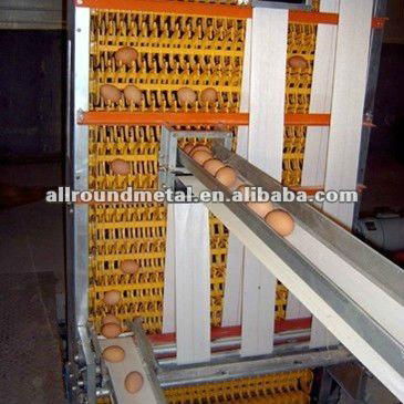 Poultry equipment layer egg chicken cages 5