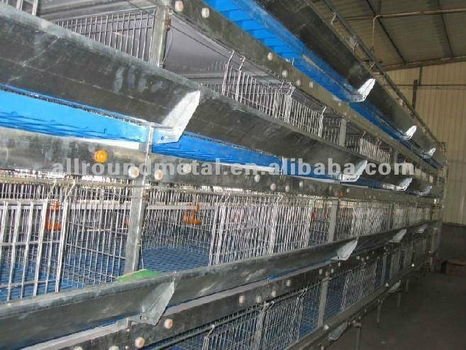 cheap broiler chickens cages on sell 2014