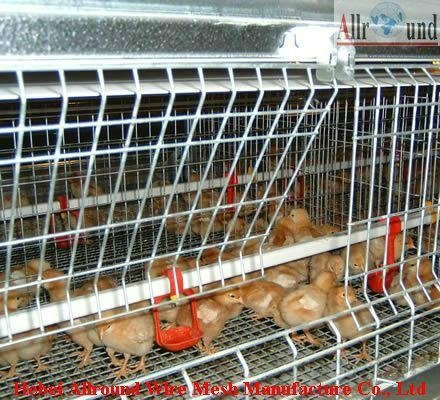cheap broiler chickens cages on sell 2014 2