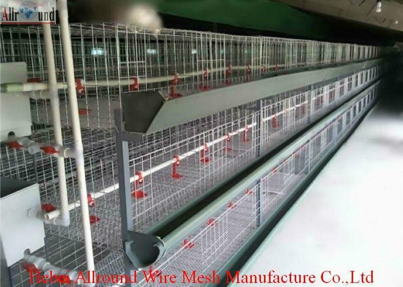 cheap broiler chickens cages on sell 2014 5