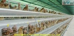 poultry cages for broiler