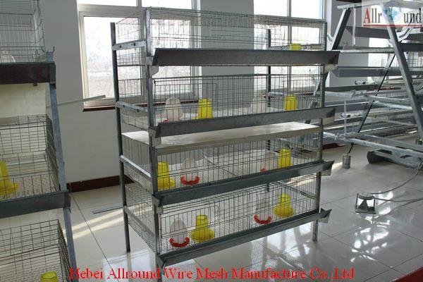 youth chicken wire cage & youth cages 3