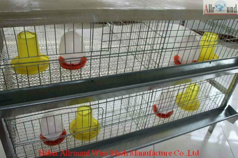 youth chicken wire cage & youth cages 4