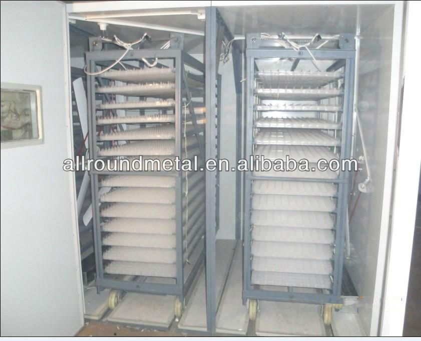 cheap hatchery for chicken 3