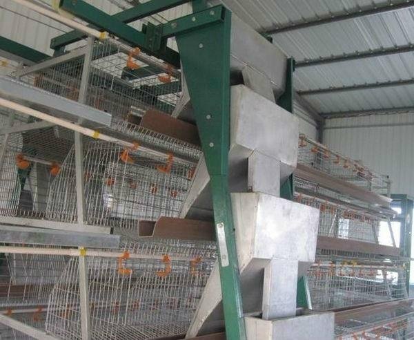 Commercial layer cage & layer chicken cages