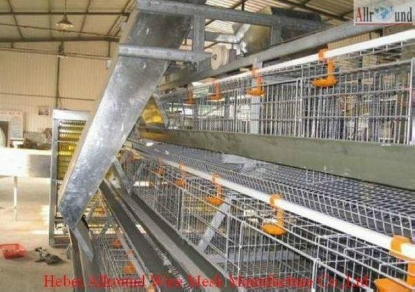 Commercial layer cage & layer chicken cages 3