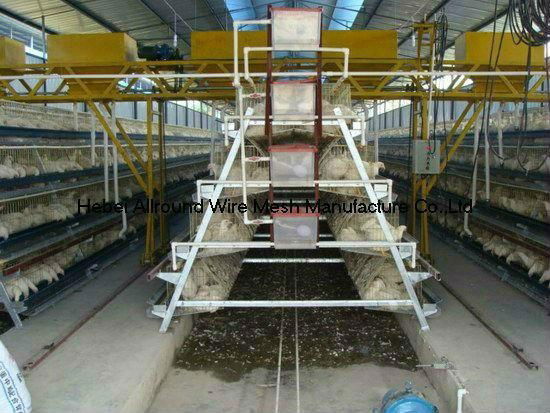 customized chicken layer broiler cage for sale 2