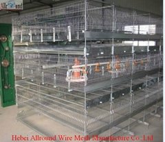 poultry cage chicken cage broiler cage