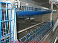 poultry cage chicken cage broiler cage 2